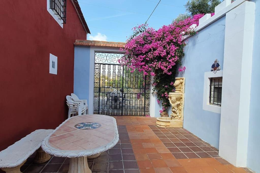 Oasis De Ifre Caserío Cañada de Gallego Exterior foto