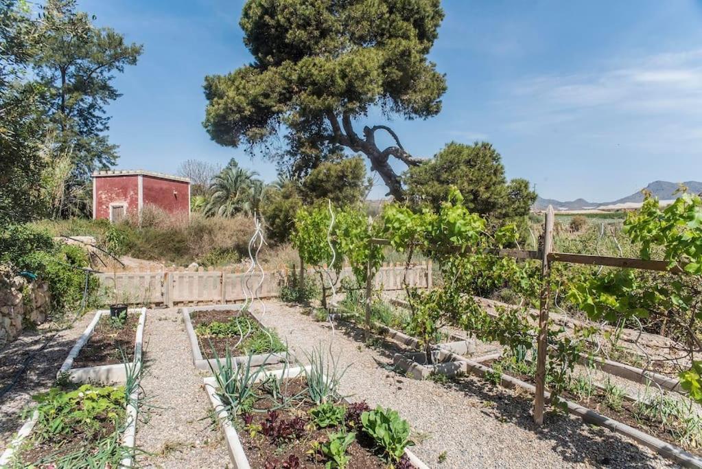 Oasis De Ifre Caserío Cañada de Gallego Exterior foto