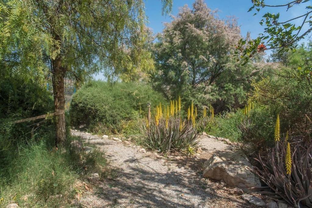 Oasis De Ifre Caserío Cañada de Gallego Exterior foto